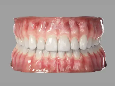  Realistic Human Mouth Teeth Tongue Rigged 