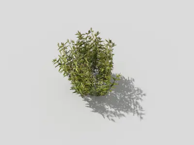 Low poly Plant Low-poly 3D model