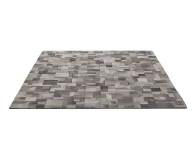 JAYA COWHIDE RUG 3D model