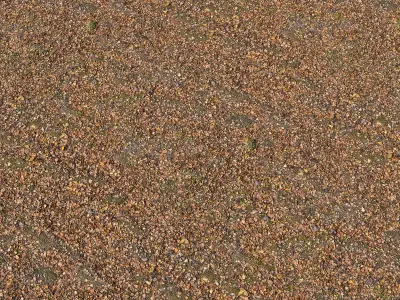 Autumn leaves 3D model