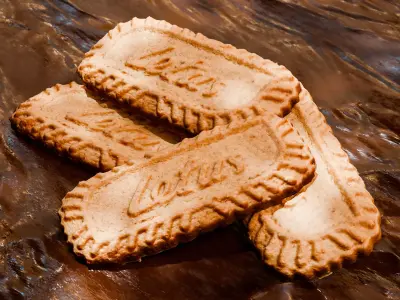 Lotus biscuit Free 3D model