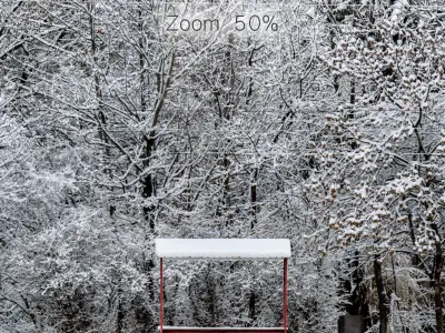 Panorama of the park with a lake and snow-covered trees - 46k 3D model