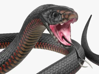  Desert Black King Snake Rigged for Maya 