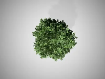 Black Gum Tree Low-poly 3D model