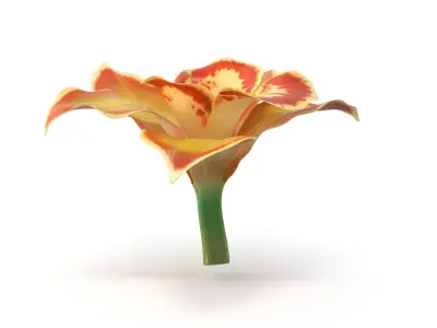  3D Flowers Collection – Orchids Roses Nymphaea Lilies 