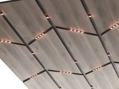 SWooden suspended ceiling with lighting 58 3D model