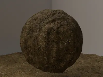 Forest Floor 01 Photoscanned Seamless Texture Texture