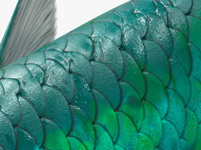  Freshwater Fish Collection 2 