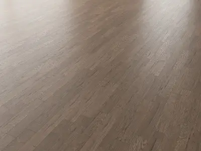 Parquet Oak Missisippi WWL set 7 3D model