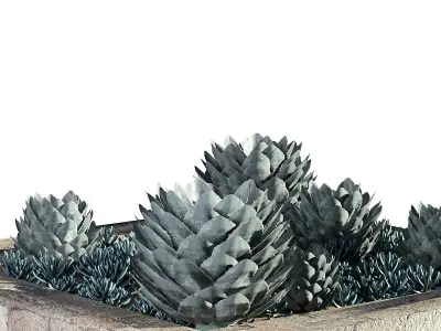 Customizable Succulent Garden Square Planter 3D Model Low-poly 3D model