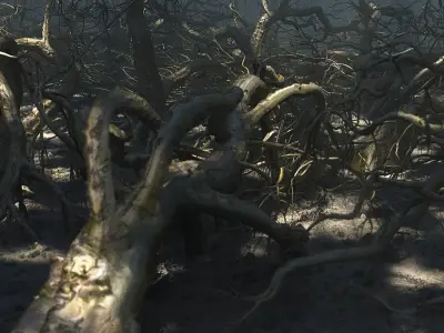 Old Forest Pack 30 3D model