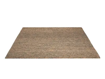 Abaca Micro Zebra 3D model