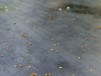Wet asphalt with leaves 3D model