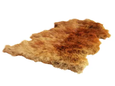 Sheepskin New Zealand 3D model