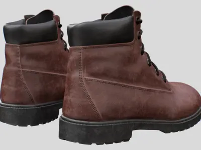  Winter Boots 2 Brown 