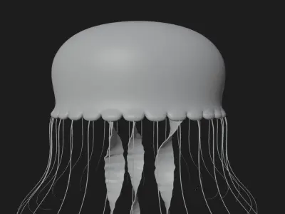 Jellyfish 3D model