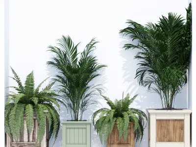 Traditonal one 3D model