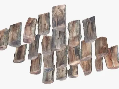 Wood Scan Pack Low-poly 3D model