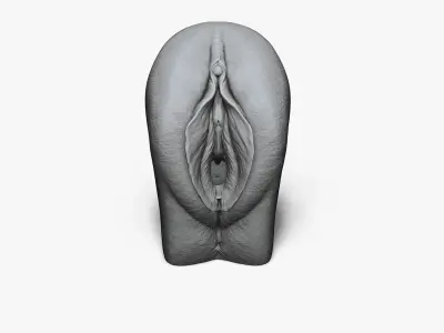  Anatomy of a Vagina for Study 
