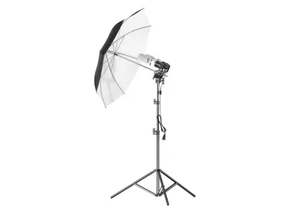 Umbrella Lighting Double Light Bulbs 3D model