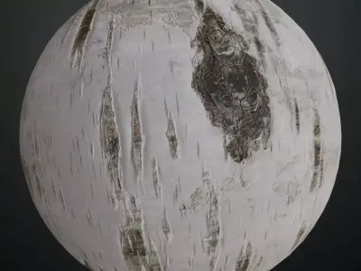 Natural White Birch Tree Bark PBR Seamless Texture