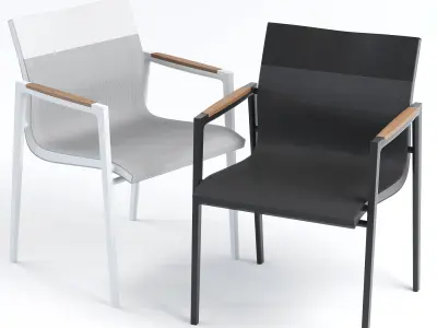 Dedon Dean Armchair 3D model