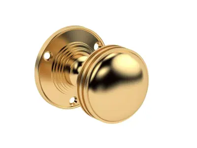 Ringed Mortice Door Knob  3D model