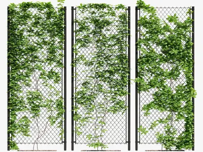 Ivy on fence three 3D model
