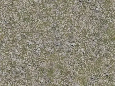 Cracked Mud Ground Seamless PBR Texture  Texture