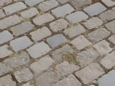 Weathered Granite Setts With Moss PBR Texture Texture