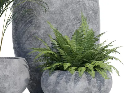 Paolelli one 3D model