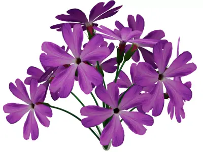 Violet Flower Low-poly 3D model