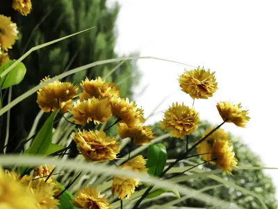 Outdoor Plants 8 3D model