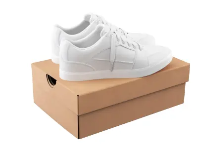  Shoe Box with Sneakers 