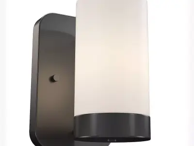 Elevate 1-Light Bath Vanity Wall Light 3D model