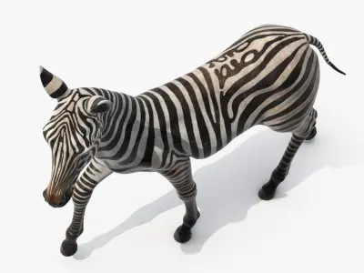  Equus Quagga Foal Running 