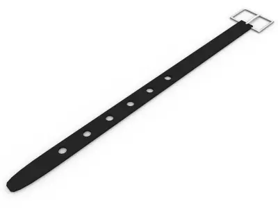 Belts 3D model