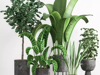 indoor plant stant 41 3D model