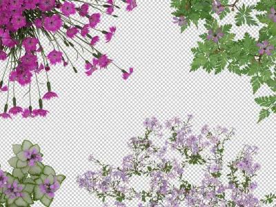2D Flowers TopViews Collection 15 Layers PNG PSD PDF Texture