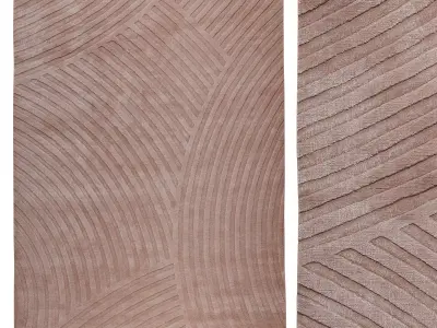 Sono Salmon 3D model