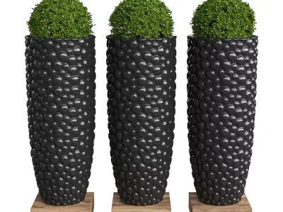 Plant in the pot IV 3D model