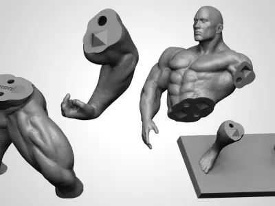 Body Builder Statue 3D print model