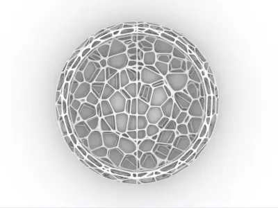 Modern Organic Lattice Bowl -Parametric Decorative Vase  Free 3D model