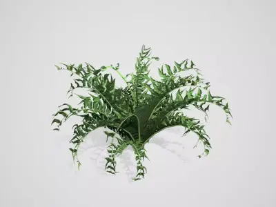 Western Sword Fern bush Low-poly 3D model