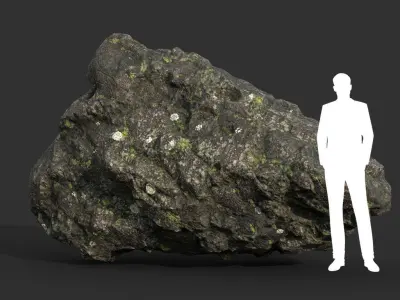 Low poly Damaged Lichen Rock 190907 Low-poly 3D model