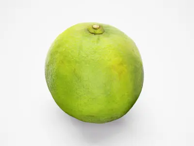 Lime - Photorealistic Scan Low-poly 3D model