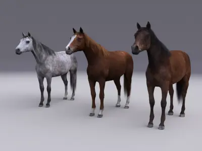 Horse collection with Fur 3D model