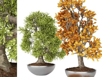 Collection Small tree 1 Free 3D model