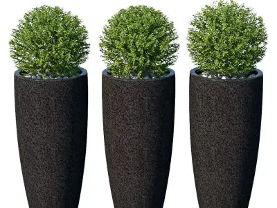 Street bushes in pots VIII 3D model