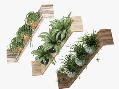 Zeta By Bloss 3D model